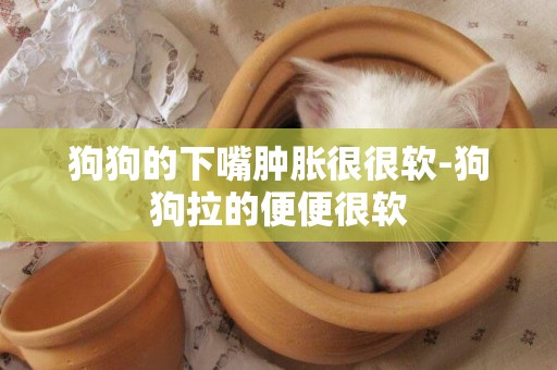 狗狗的下嘴腫脹很很軟-狗狗拉的便便很軟