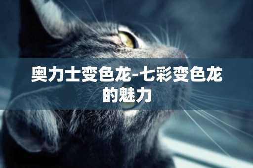 奧力士變色龍-七彩變色龍的魅力