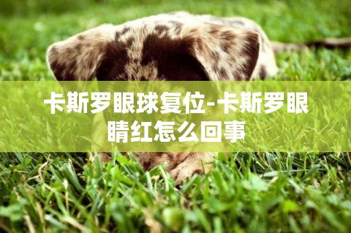 卡斯羅眼球復位-卡斯羅眼睛紅怎么回事