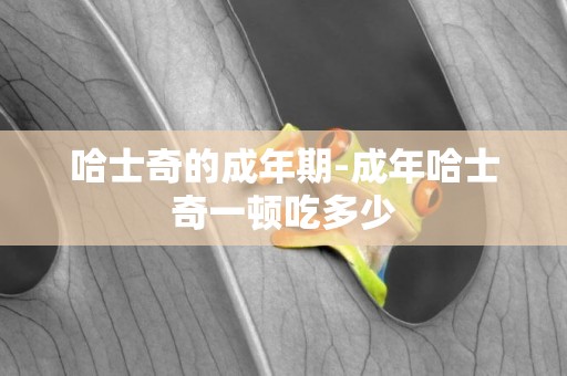 哈士奇的成年期-成年哈士奇一頓吃多少