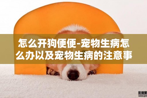 怎么開狗便便-寵物生病怎么辦以及寵物生病的注意事項