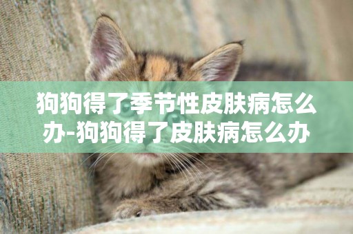 狗狗得了季節性皮膚病怎么辦-狗狗得了皮膚病怎么辦