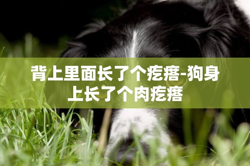 背上里面長了個疙瘩-狗身上長了個肉疙瘩