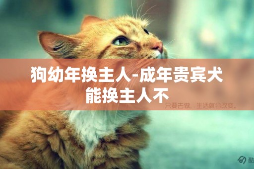 狗幼年換主人-成年貴賓犬能換主人不