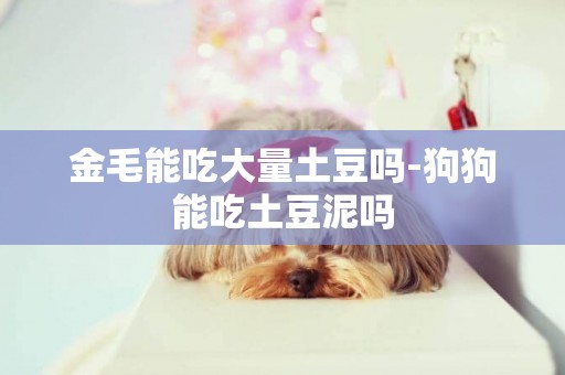 金毛能吃大量土豆嗎-狗狗能吃土豆泥嗎