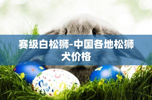 賽級白松獅-中國各地松獅犬價格