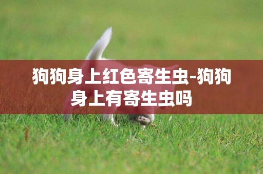 狗狗身上紅色寄生蟲-狗狗身上有寄生蟲嗎