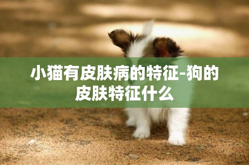 小貓有皮膚病的特征-狗的皮膚特征什么