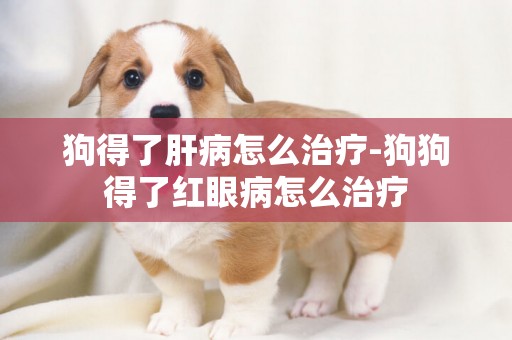 狗得了肝病怎么治療-狗狗得了紅眼病怎么治療