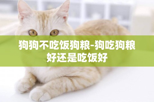 狗狗不吃飯狗糧-狗吃狗糧好還是吃飯好