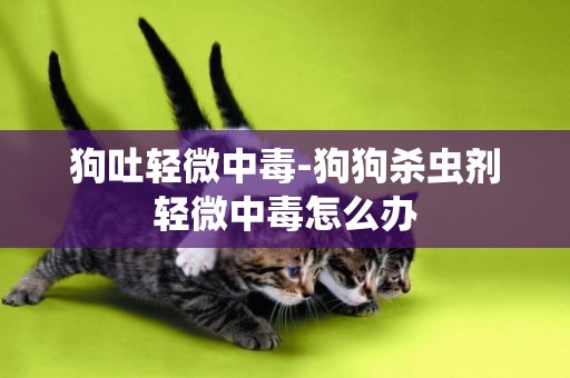 狗吐輕微中毒-狗狗殺蟲劑輕微中毒怎么辦