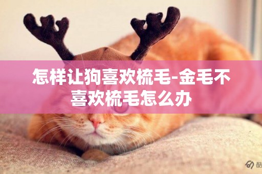 怎樣讓狗喜歡梳毛-金毛不喜歡梳毛怎么辦
