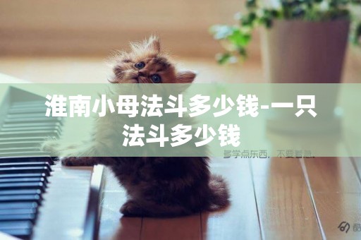 淮南小母法斗多少錢-一只法斗多少錢