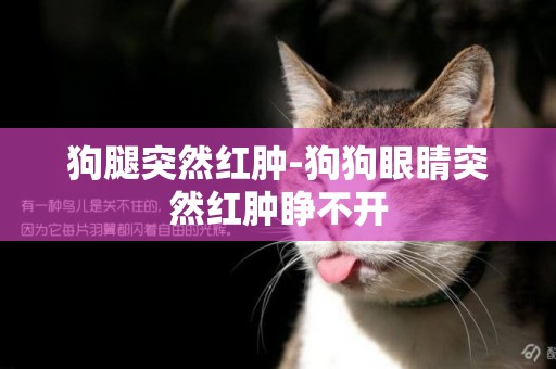 狗腿突然紅腫-狗狗眼睛突然紅腫睜不開