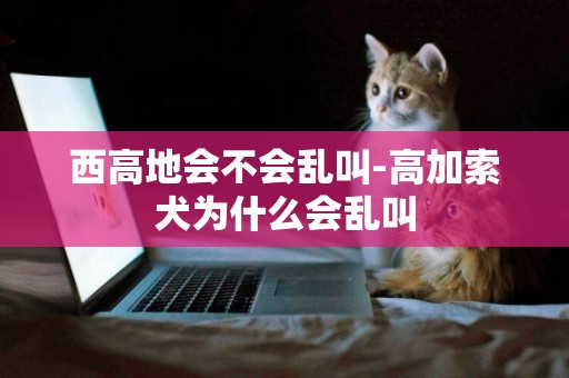 西高地會不會亂叫-高加索犬為什么會亂叫
