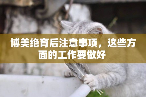 博美絕育后注意事項，這些方面的工作要做好 