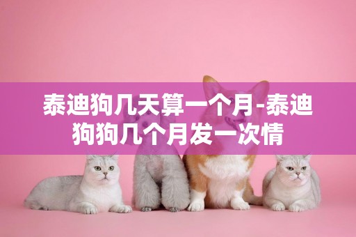 泰迪狗幾天算一個月-泰迪狗狗幾個月發一次情