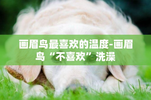 畫眉鳥最喜歡的溫度-畫眉鳥“不喜歡”洗澡