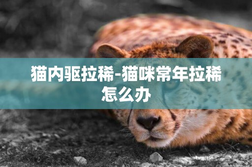 貓內驅拉稀-貓咪常年拉稀怎么辦