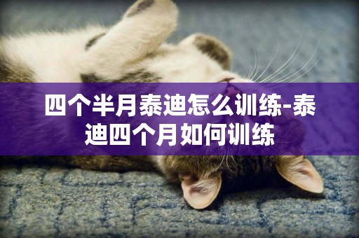 四個半月泰迪怎么訓練-泰迪四個月如何訓練