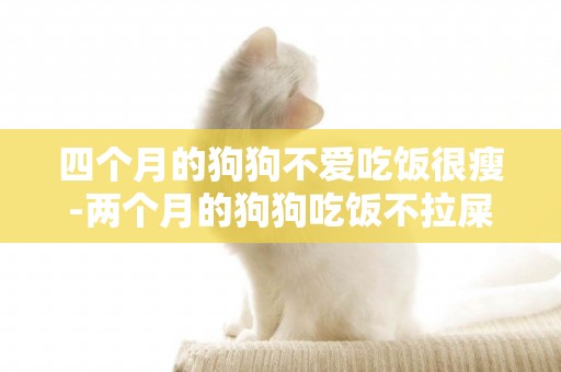 四個月的狗狗不愛吃飯很瘦-兩個月的狗狗吃飯不拉屎