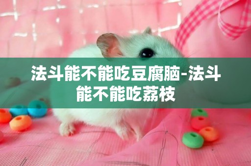 法斗能不能吃豆腐腦-法斗能不能吃荔枝
