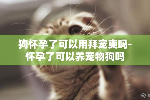 狗懷孕了可以用拜寵爽嗎-懷孕了可以養寵物狗嗎