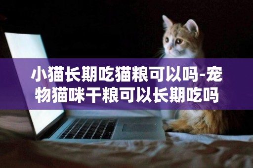小貓長期吃貓糧可以嗎-寵物貓咪干糧可以長期吃嗎