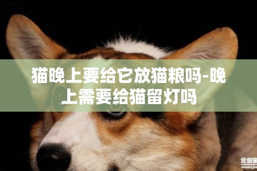 貓晚上要給它放貓糧嗎-晚上需要給貓留燈嗎