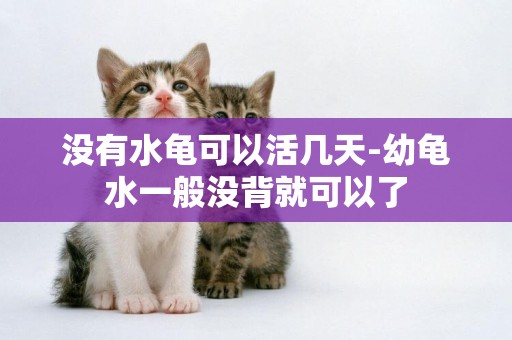 沒有水龜可以活幾天-幼龜水一般沒背就可以了