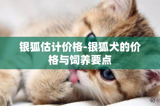 銀狐估計價格-銀狐犬的價格與飼養要點