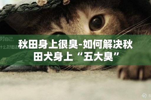 秋田身上很臭-如何解決秋田犬身上“五大臭”