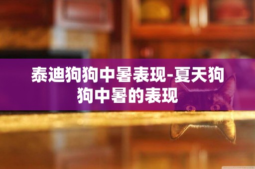 泰迪狗狗中暑表現-夏天狗狗中暑的表現