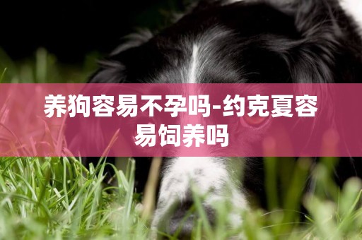 養狗容易不孕嗎-約克夏容易飼養嗎