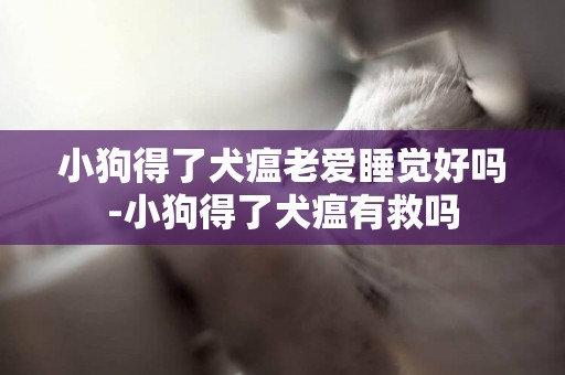 小狗得了犬瘟老愛睡覺好嗎-小狗得了犬瘟有救嗎