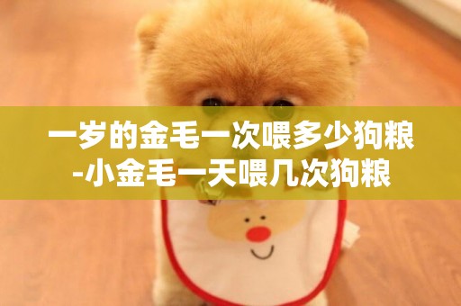 一歲的金毛一次喂多少狗糧-小金毛一天喂幾次狗糧