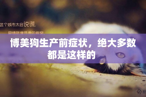 博美狗生產前癥狀，絕大多數都是這樣的 