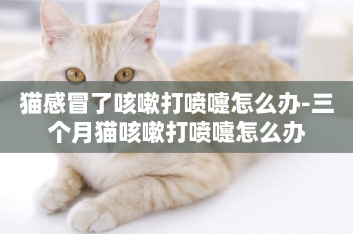 貓感冒了咳嗽打噴嚏怎么辦-三個月貓咳嗽打噴嚏怎么辦