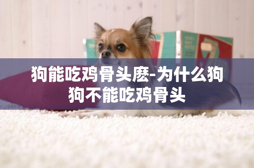 狗能吃雞骨頭麼-為什么狗狗不能吃雞骨頭