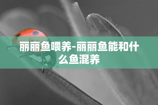 麗麗魚喂養-麗麗魚能和什么魚混養