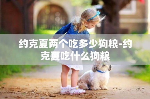 約克夏兩個吃多少狗糧-約克夏吃什么狗糧