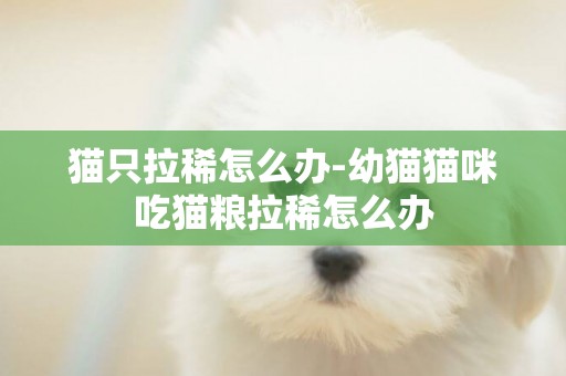 貓只拉稀怎么辦-幼貓貓咪吃貓糧拉稀怎么辦