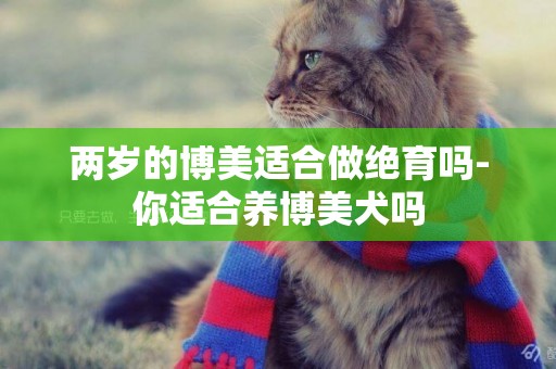 兩歲的博美適合做絕育嗎-你適合養博美犬嗎