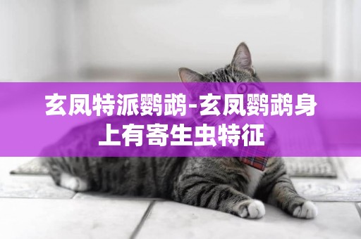 玄鳳特派鸚鵡-玄鳳鸚鵡身上有寄生蟲特征