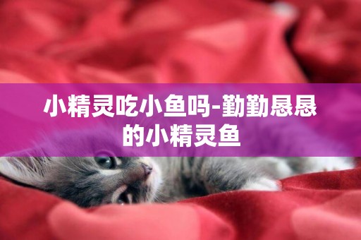 小精靈吃小魚嗎-勤勤懇懇的小精靈魚