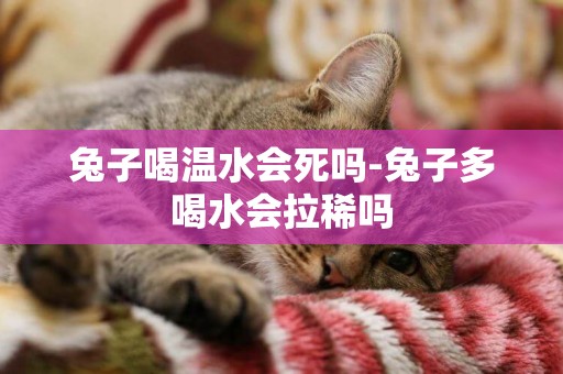 兔子喝溫水會死嗎-兔子多喝水會拉稀嗎