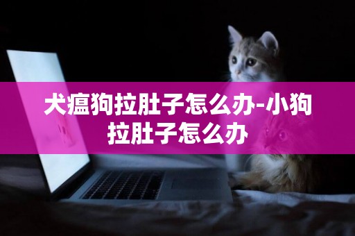 犬瘟狗拉肚子怎么辦-小狗拉肚子怎么辦