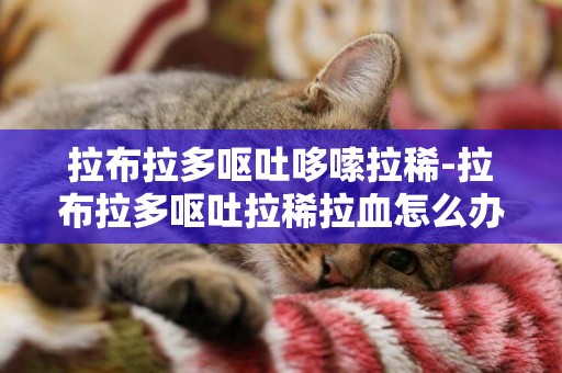 拉布拉多嘔吐哆嗦拉稀-拉布拉多嘔吐拉稀拉血怎么辦