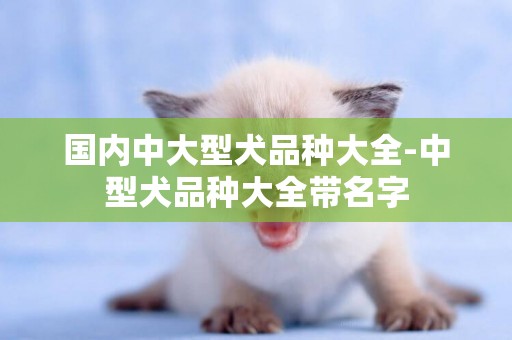 國內中大型犬品種大全-中型犬品種大全帶名字