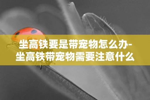 坐高鐵要是帶寵物怎么辦-坐高鐵帶寵物需要注意什么